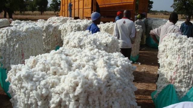 CAMPAGNE COTON 2017-2018 : 108 MILLIARDS DE FCFA REDISTRIBUES AUX PRODUCTEURS CONTRE 86 MILLIARDS DE FCFA EN 2016-2017